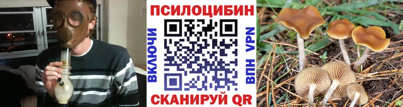 Купить  Кондопога  Галлюциногенные грибы прущие грибы 